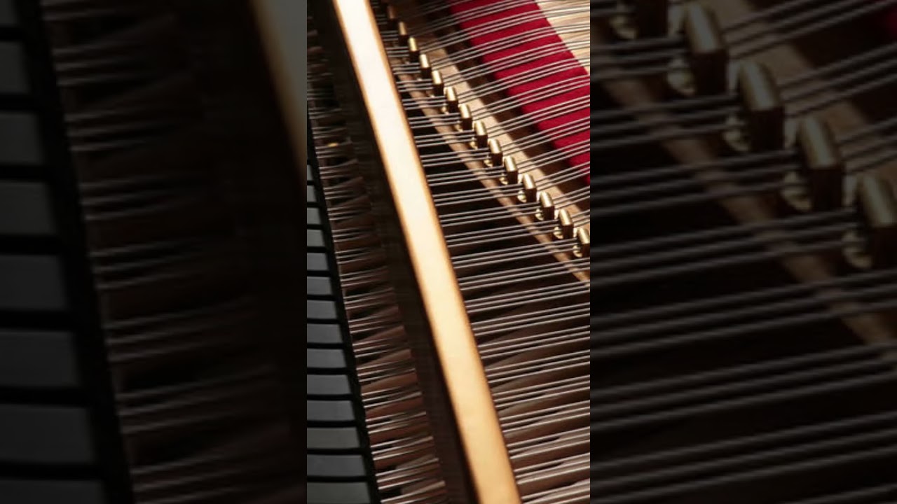 a que grupo de instrumentos pertenece el piano