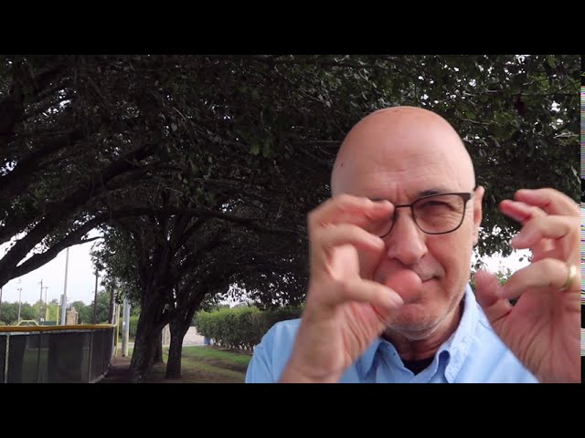 analisis de la novela la fuerza de la sangre