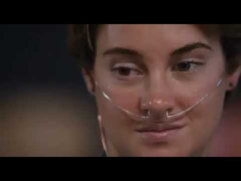 bajo la misma estrella pelicula gratis sin registrarse