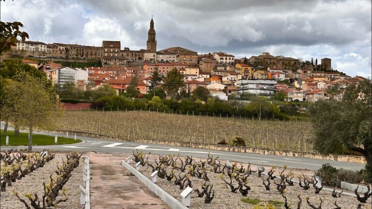 bodega museo vivanco de la cultura del vino briones