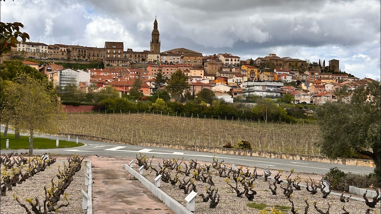 bodega museo vivanco de la cultura del vino briones