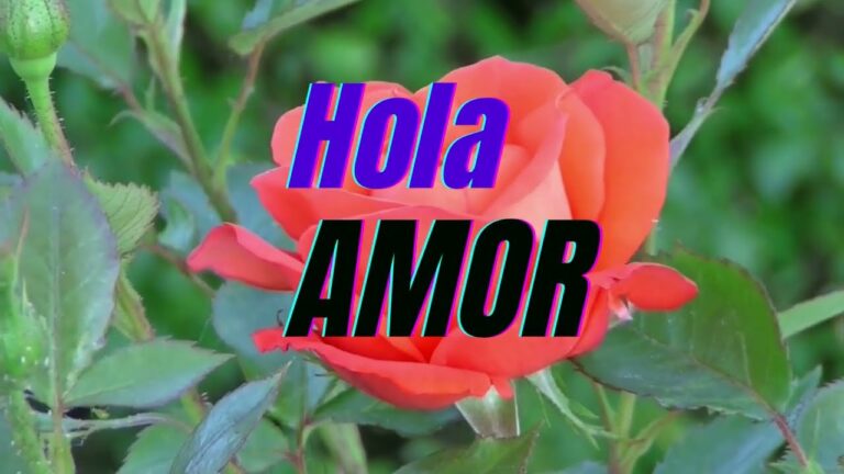 carta de despedida a mi gran y unico amor