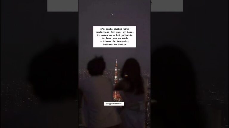 cartas a sartre simone de beauvoir pdf