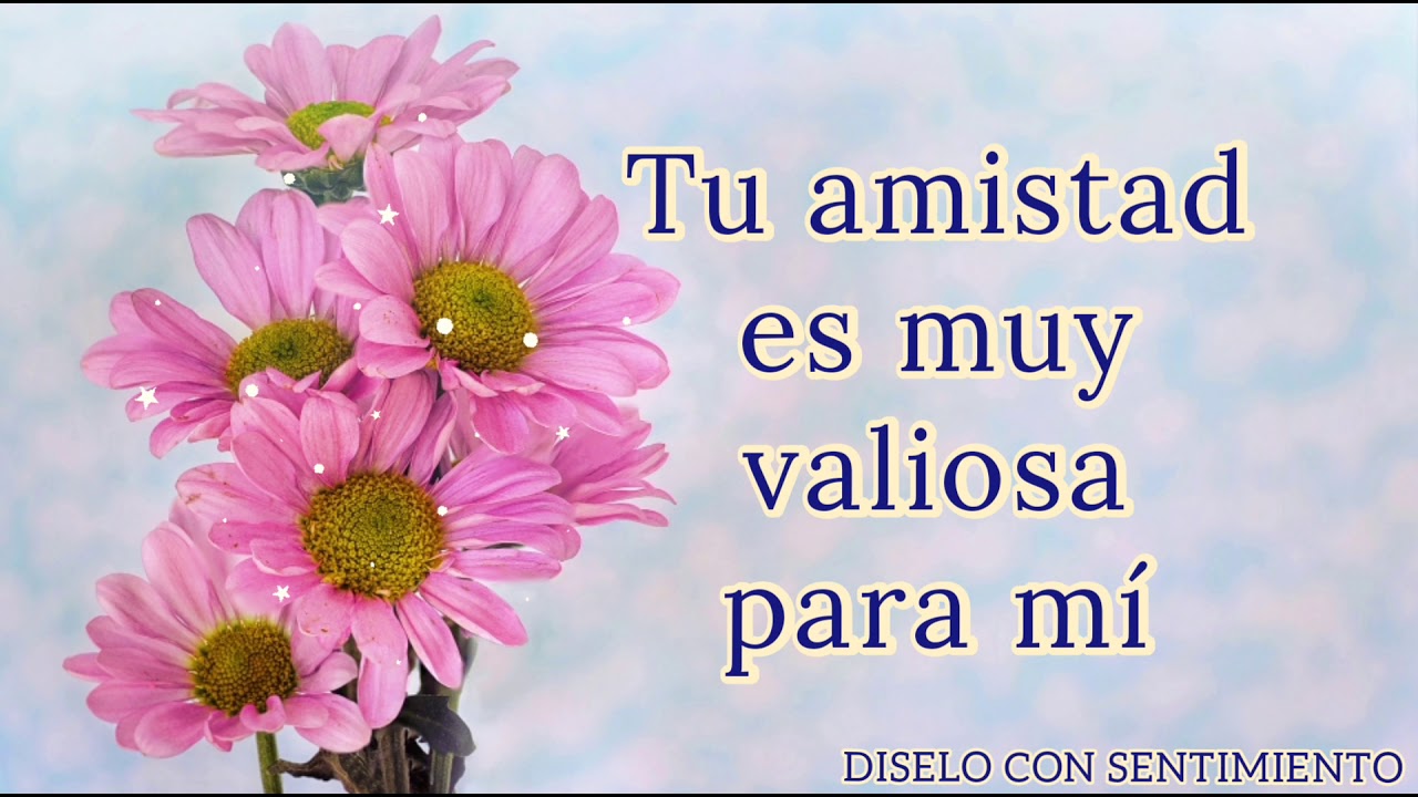 cartas de amistad para mi mejor amiga largas