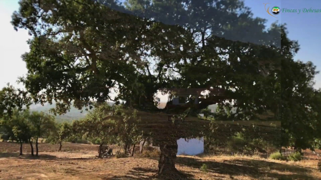 casas en venta en cabeza del buey