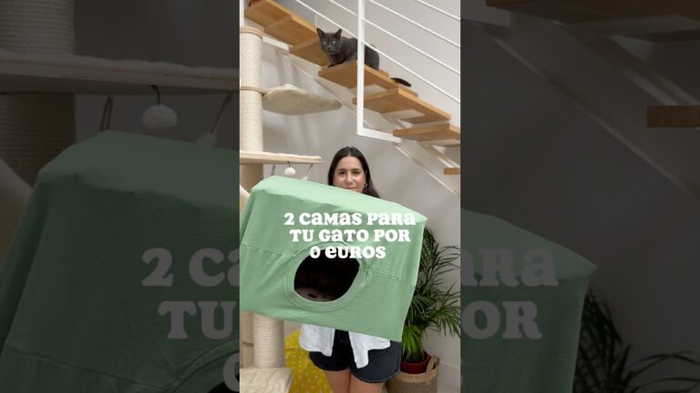 como hacer una casa para gatos con una caja