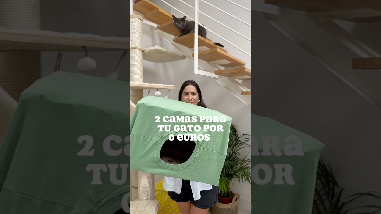como hacer una casa para gatos con una caja