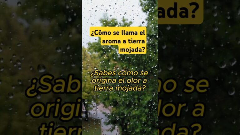 como se llama el olor a tierra mojada