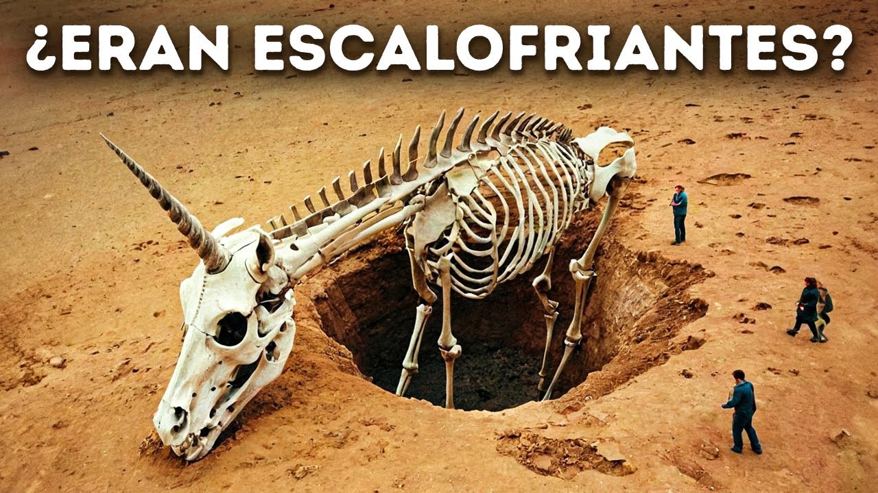 cómo son los unicornios en la vida real