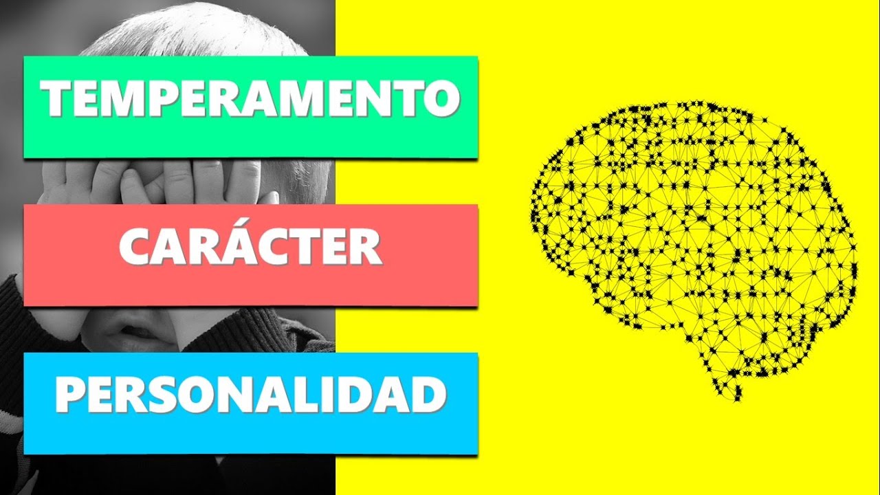 constitucion temperamento y caracter de la personalidad
