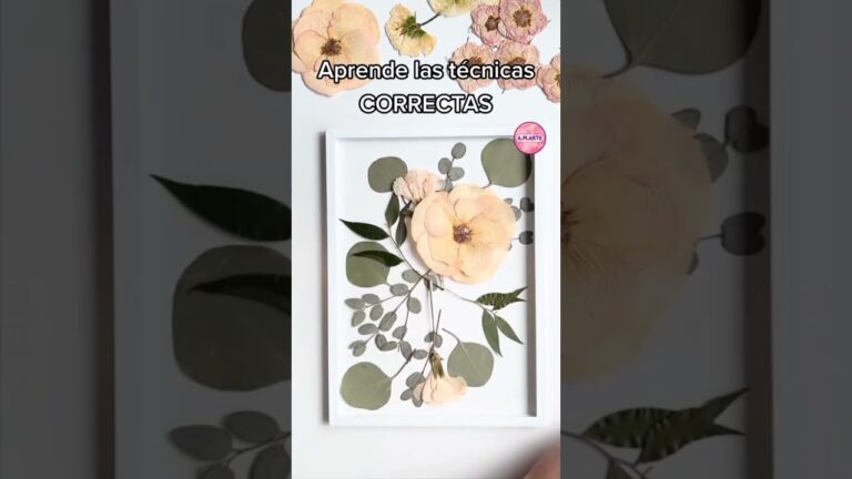 cuadros hechos con hojas y flores secas