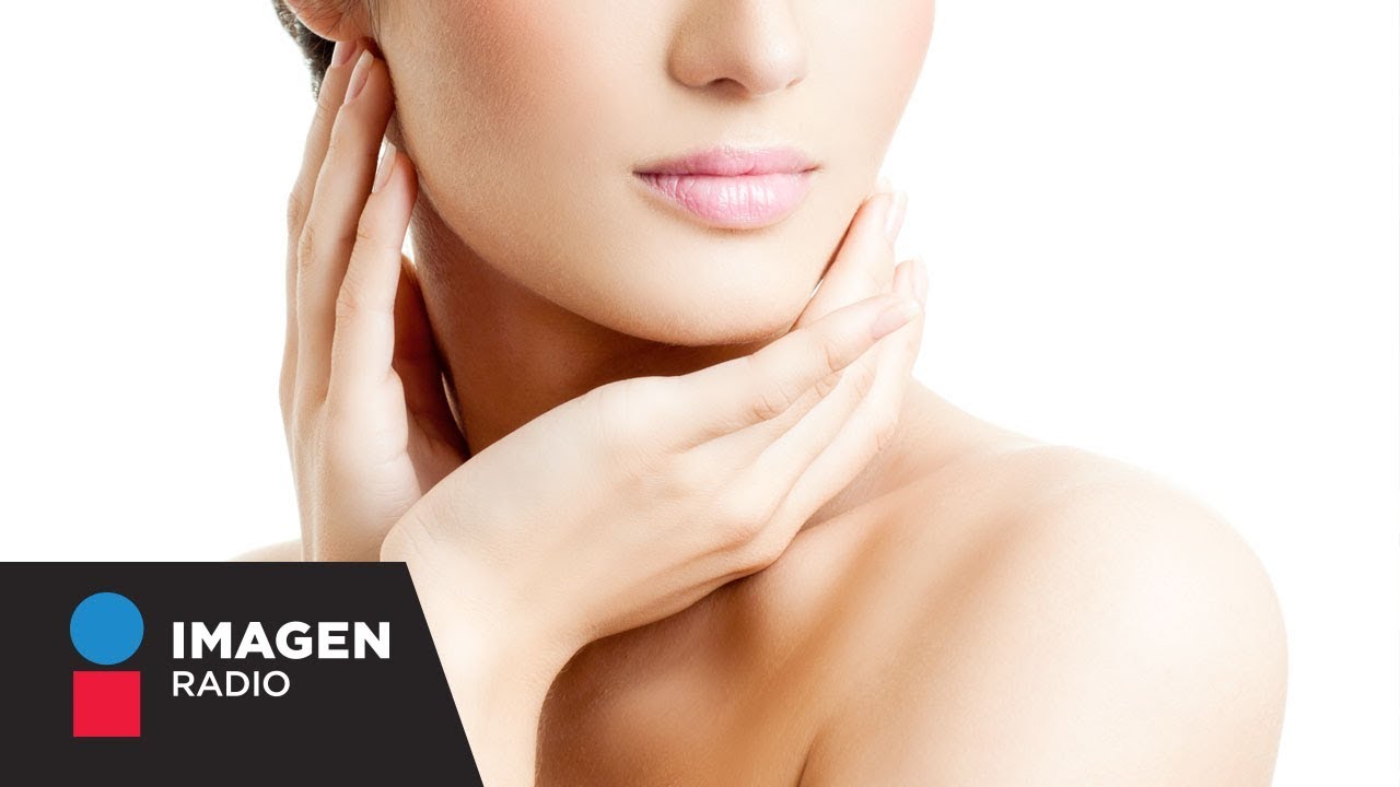 cual es el organo mas grande del cuerpo humano