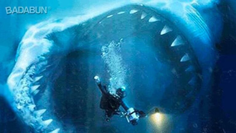 cual es el tiburon mas grande del mundo encontrado