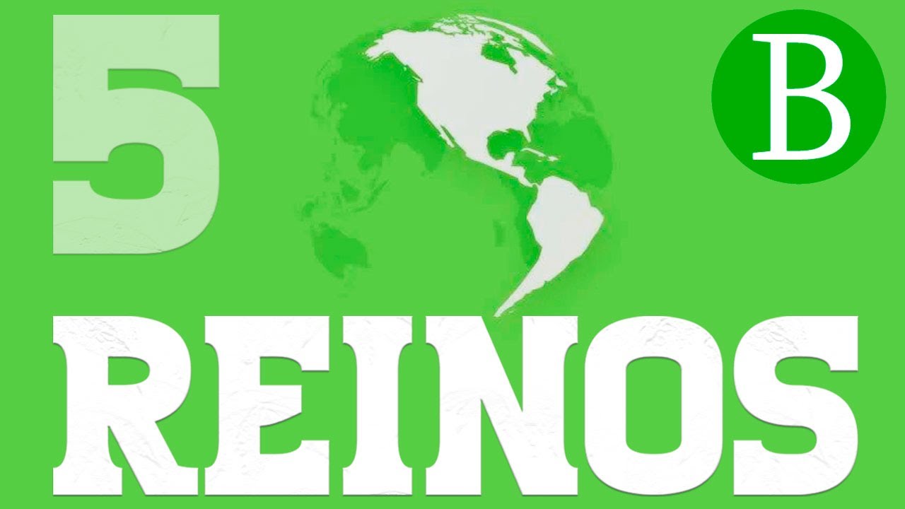 cuales son lo reinos de la naturaleza