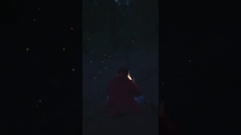 de luces y luciernagas magicas buenas noches