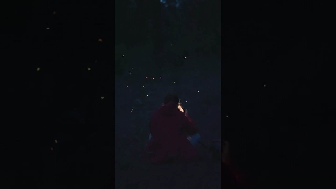 de luces y luciernagas magicas buenas noches