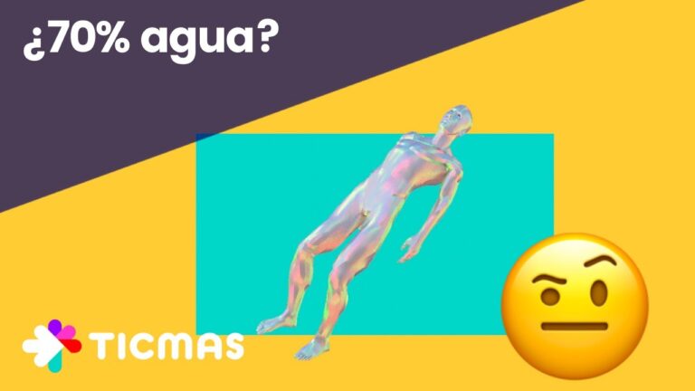 de que esta hecho un ser vivo