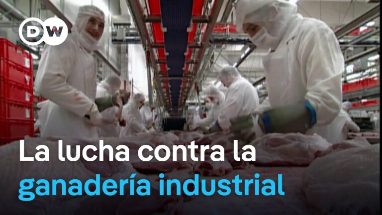 documental sobre la industria de la carne