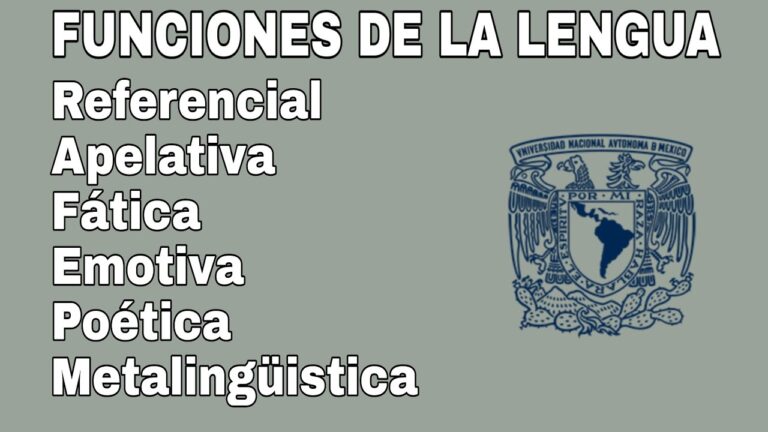 ejemplos de funcion representativa o referencial del lenguaje