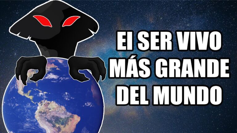 el ser vivo mas grande del mundo