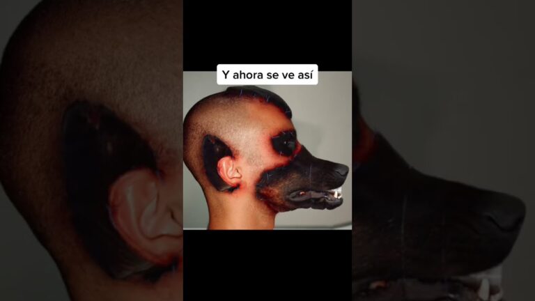 esqueleto del hombre y de los animales