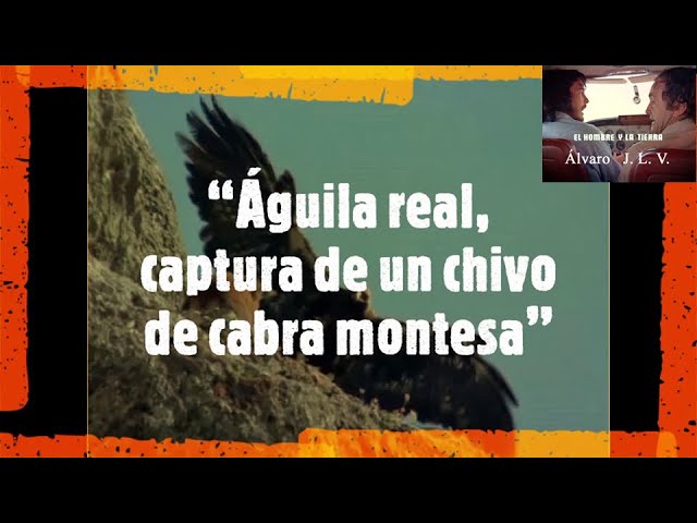 félix rodríguez de la fuente odile rodríguez de la fuente