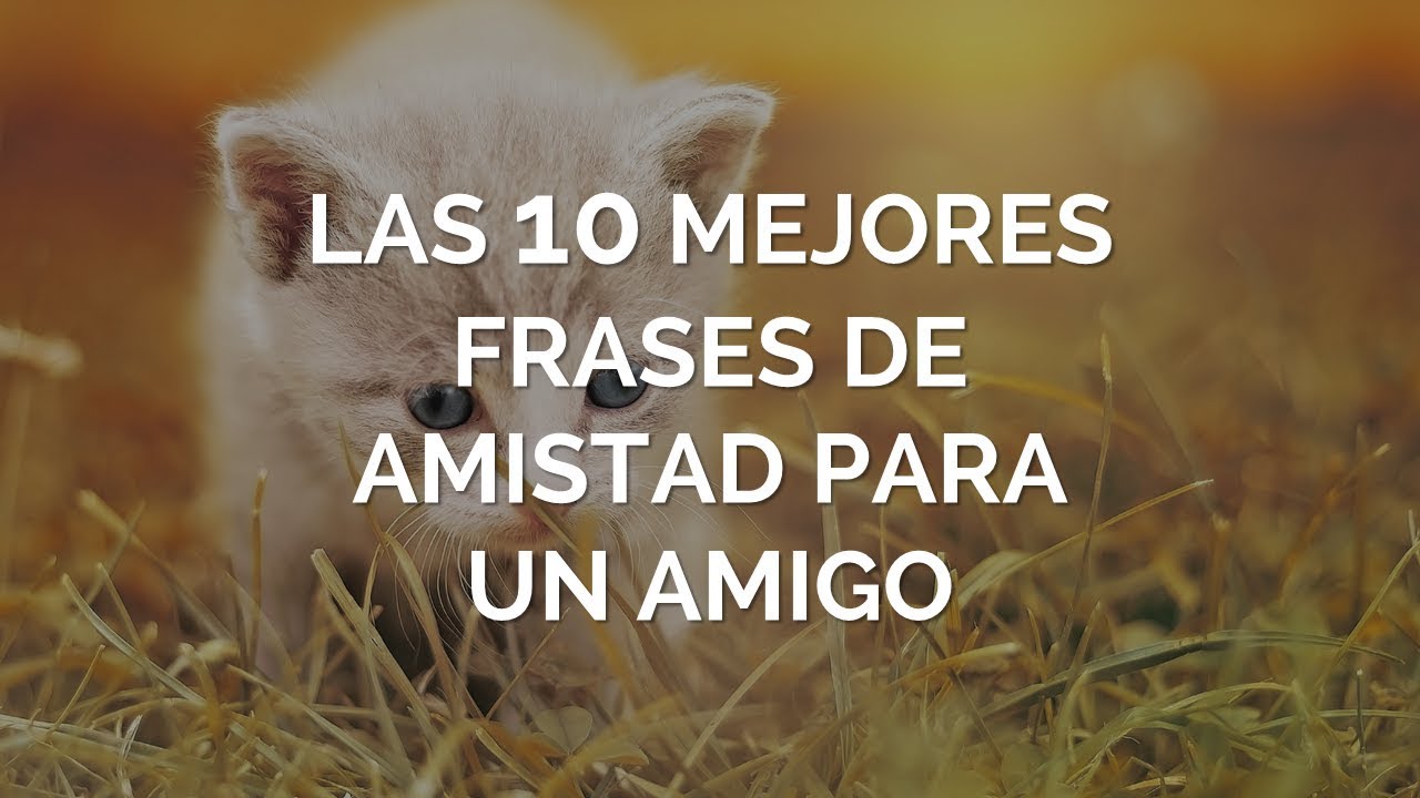 frases celebres sobre la amistad y el compañerismo