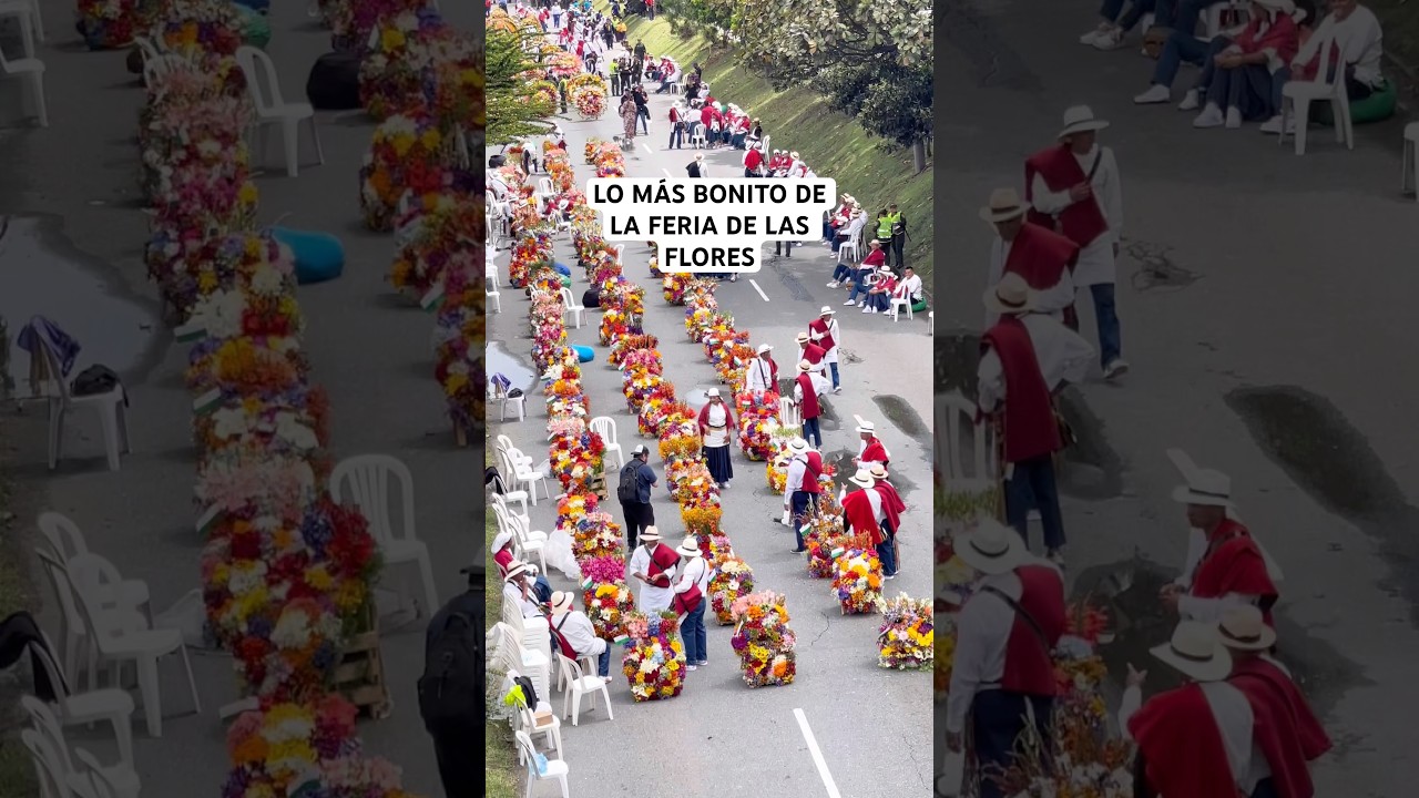 frases de la feria de las flores