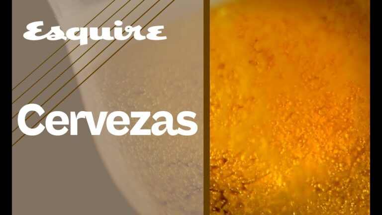 frases sobre la cerveza y el amor