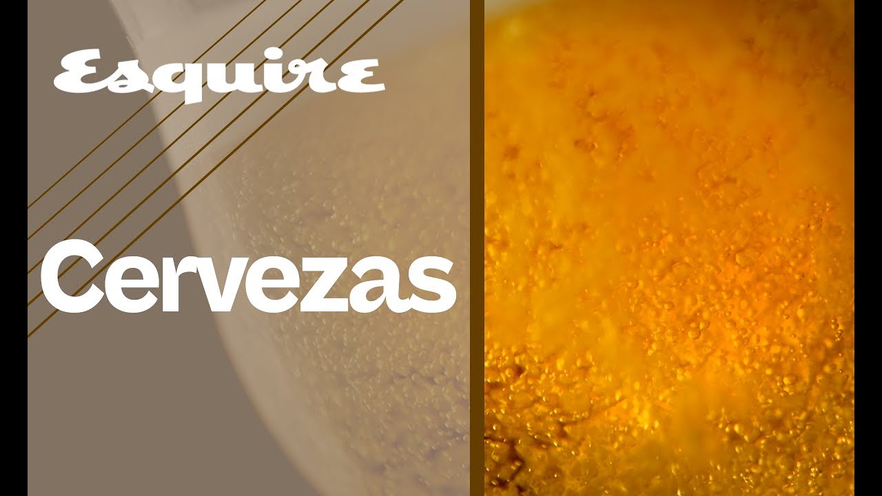 frases sobre la cerveza y el amor