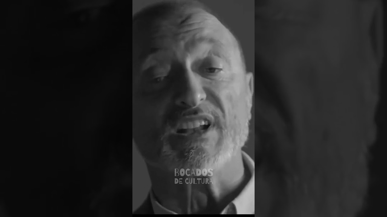 frases sobre la mirada de los perros