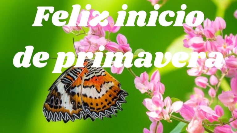 frases sobre la primavera y el amor