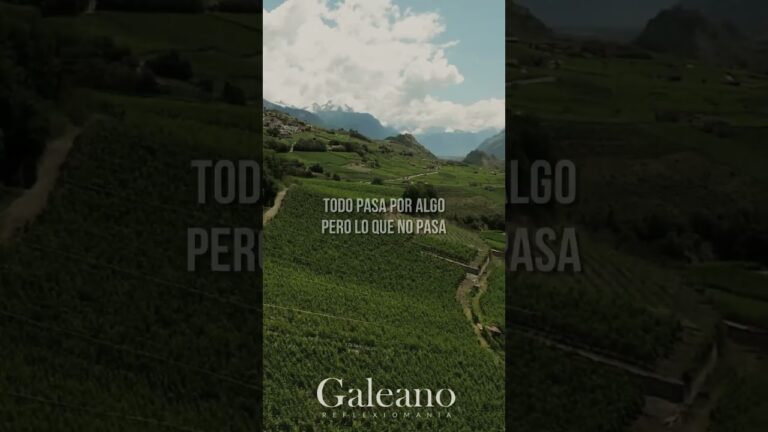 frases todo pasa por algo en la vida