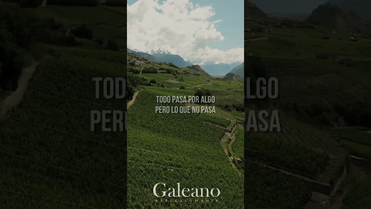 frases todo pasa por algo en la vida