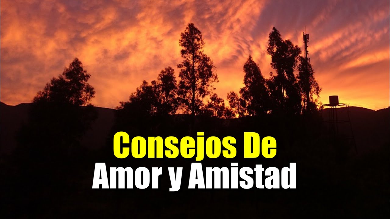 frases y poemas de amor y amistad