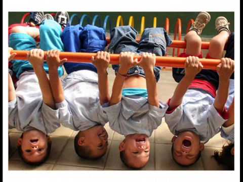 imagenes de la belleza de la vida