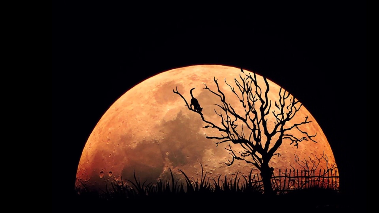 imagenes de la luna y las estrellas