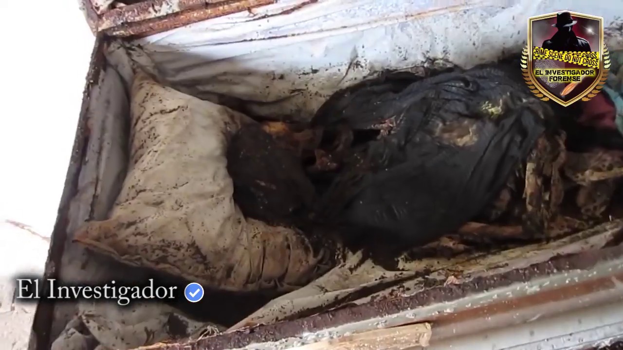 imagenes de muertos reales en la morgue