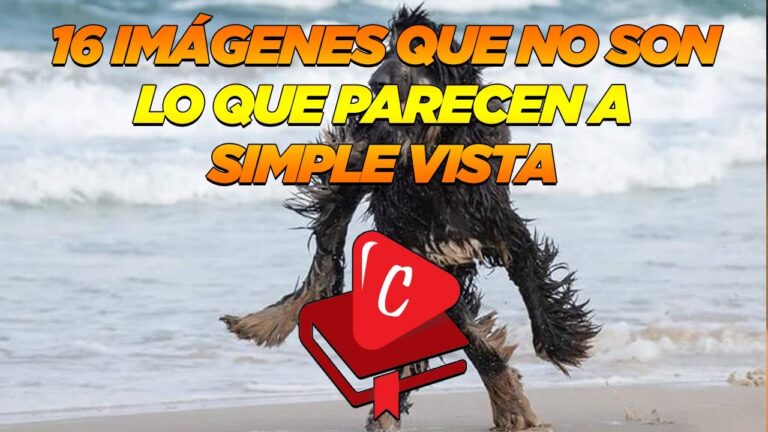 imagenes que parecen lo que no son