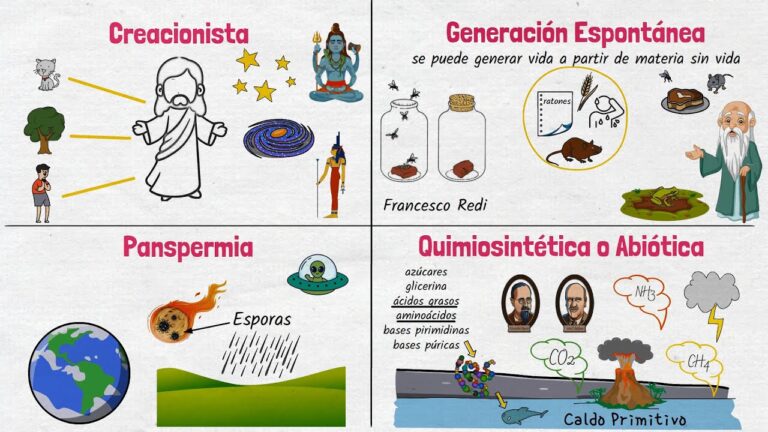 imagenes sobre la evolucion de la vida