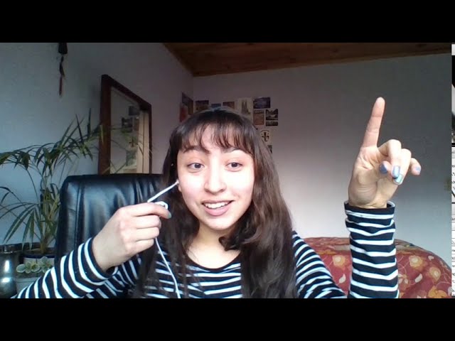 la cueva de los sueños olvidados resumen