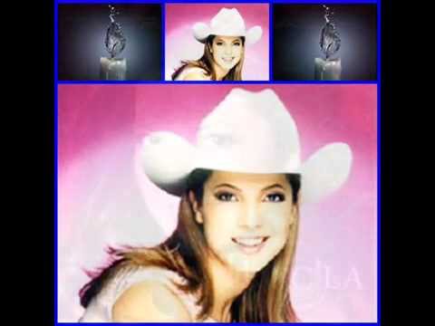 la primera vez que te vi me enamore de ti