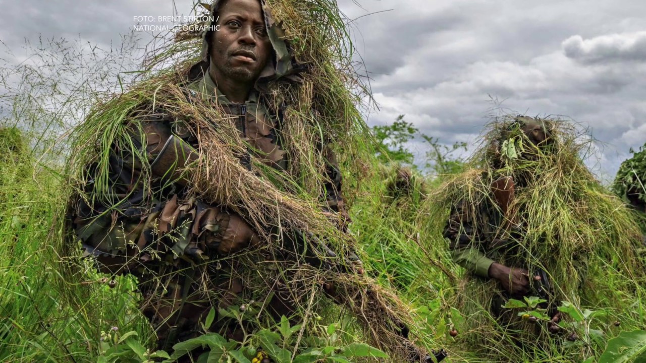 las mejores fotos de national geographic 2016