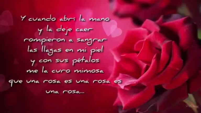 letra de la cancion una rosa es una rosa