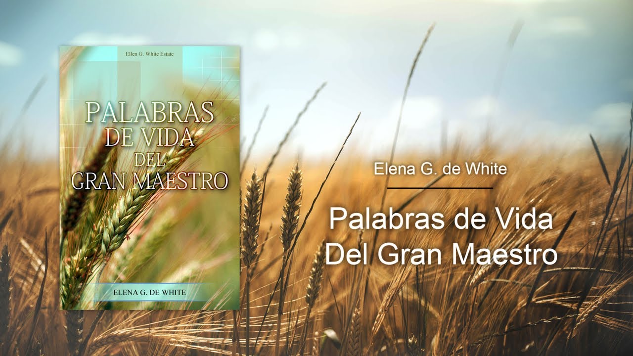 libro palabras de vida del gran maestro