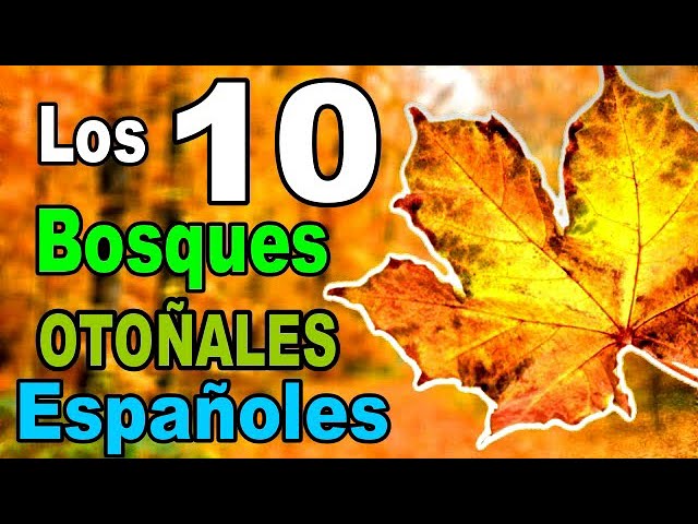 los bosques mas bonitos de españa en otoño