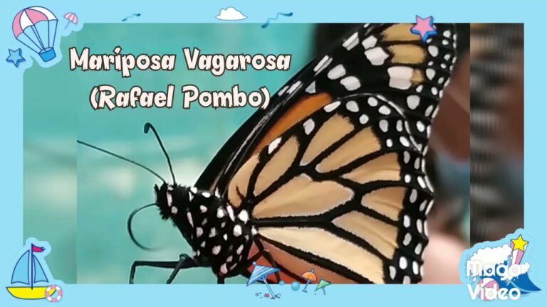 mariposa vagarosa rica en tinte y en donaire