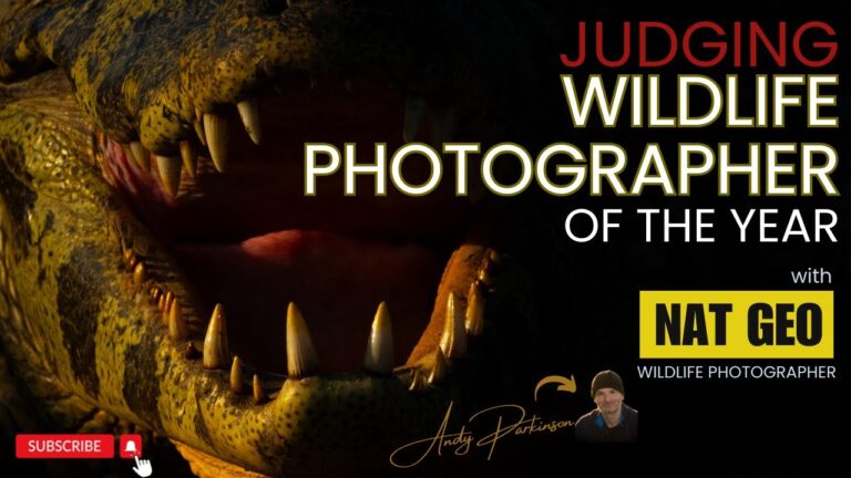 national geographic wildlife photographer of the year