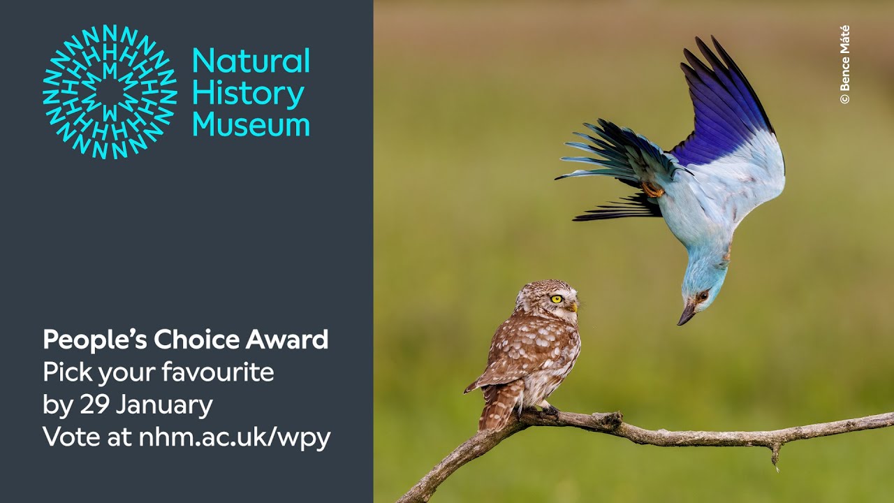 nhm wildlife photographer of the year shop