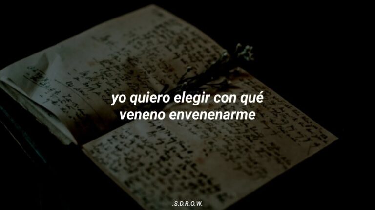 no soy alcoholico pero a veces me emborracho